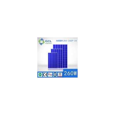 多晶硅組件(ZKX-260P-24)