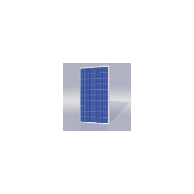 多晶組件(60x6“/ 200-245W)