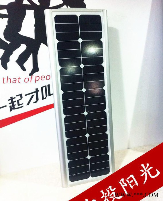 led路燈30W一體化太陽(yáng)能感應(yīng)燈 家用太陽(yáng)能燈 直銷