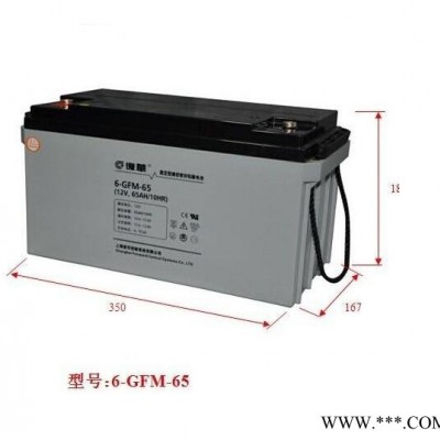 上海復(fù)華鉛酸蓄電池 MF12-200 復(fù)華12V200AH蓄電池 直流屏 UPS EPS 太陽能