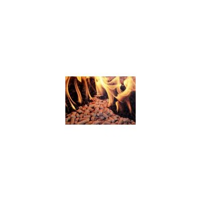 生物質(zhì)燃料顆粒