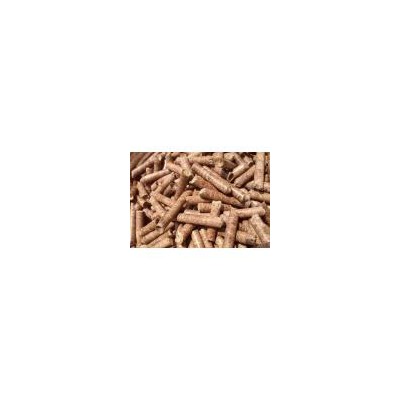生物質(zhì)燃燒顆粒
