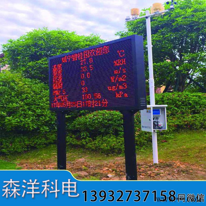 負(fù)氧離子監(jiān)測系統(tǒng) 森洋科電SY-FY 大氣負(fù)氧離子監(jiān)測儀