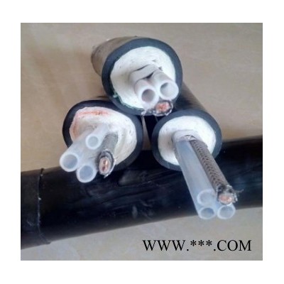 普瑞JSG-8 環(huán)境在線監(jiān)測(cè)系統(tǒng)配套設(shè)備  采樣探頭 溫壓流一體機(jī) 采樣管線 預(yù)處理系統(tǒng)