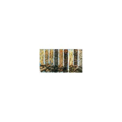生物質(zhì)顆粒燃料檢測
