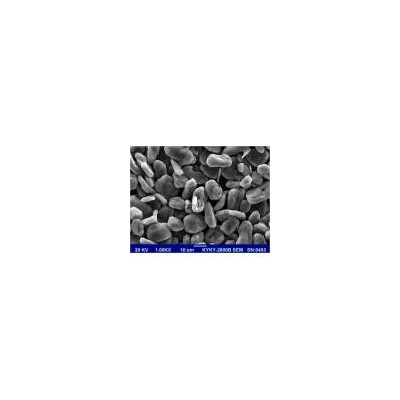 天然石墨MSG、518系列產(chǎn)品