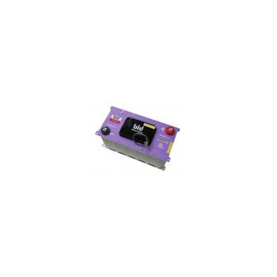超級電容器模組(BLDM)