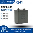 電子直流脈動(dòng)電容器(CJ41)