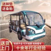 新能源車(chē)銷售顧問(wèn)