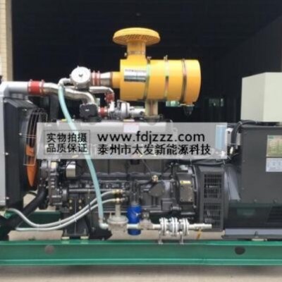 沼氣燃燒發(fā)電