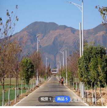 太陽能路燈led中國結(jié) 8米雙頭太陽能路燈 新農(nóng)村太陽能時控路燈