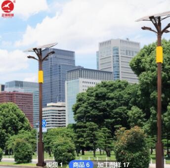 市政LED路燈 特色太陽能路燈 新農(nóng)村太陽能路燈鄉(xiāng)村改造建設(shè)路燈
