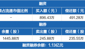 新能源：融資凈買(mǎi)入405.15萬(wàn)元，融資余額9877.44萬(wàn)元（12-20）
